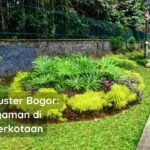 Rumah Cluster Bogor: Hunian Nyaman di Tengah Perkotaan