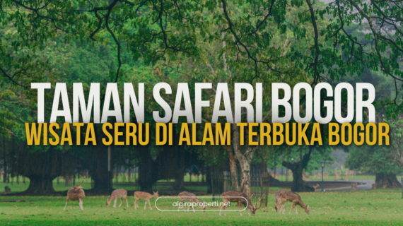 Taman Safari Bogor: Wisata Seru di Alam Terbuka Bogor